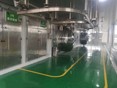 真空冷凍干燥機(jī)廠家講這些你知道幾點(diǎn)? 真空冷凍干燥機(jī)廠家講這些你知道幾點(diǎn)?